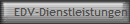EDV-Dienstleistungen